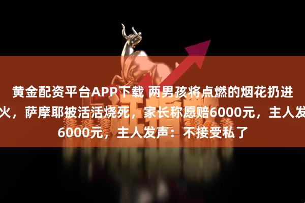 黄金配资平台APP下载 两男孩将点燃的烟花扔进狗笼导致笼子起火，萨摩耶被活活烧死，家长称愿赔6000元，主人发声：不接受私了
