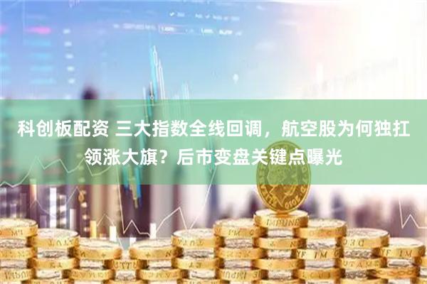 科创板配资 三大指数全线回调，航空股为何独扛领涨大旗？后市变盘关键点曝光