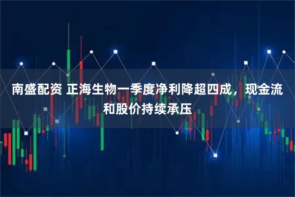南盛配资 正海生物一季度净利降超四成，现金流和股价持续承压